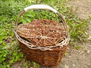 Basket weaving course: willow bike basket with a round-shaped bottom and a double lid - Stage de vannerie : panier arrière de vélo en osier à fond plat rond sur croisée et couvercle à deux battants