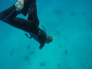 Freediving descent in clear blue water - Descente de plongée en apnée en eau bleue
