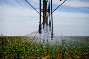 A sprinkler crop irrigation system spraying water - Rampe d'arrosage agricole en opération