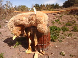 Backpack made of willow, with sheepskins and wooden bow